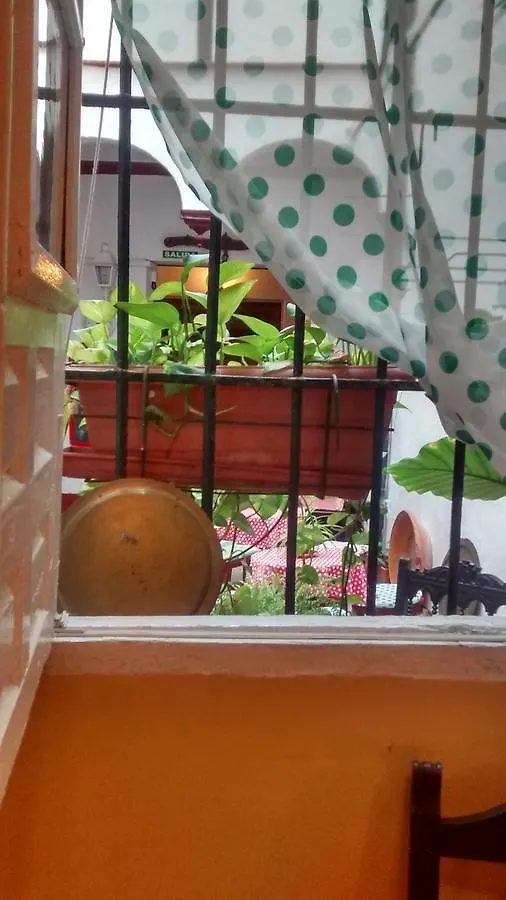 Bed & Breakfast Hostel Patio 19 Malaga