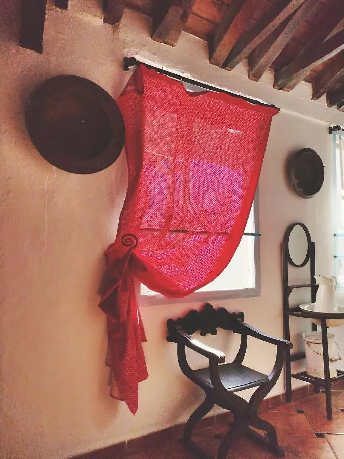 Bed & Breakfast Hostel Patio 19 Malaga